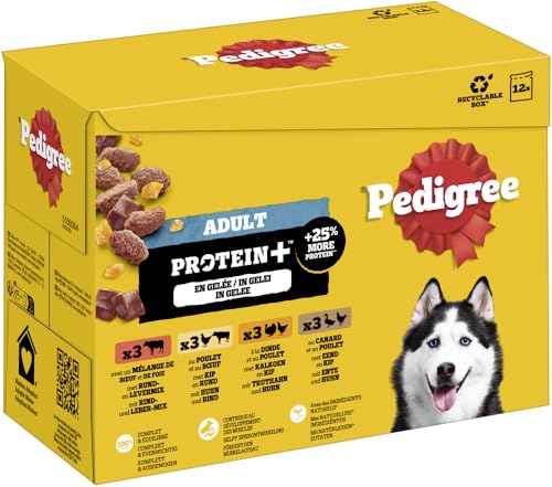 Pedigree Hund Portionsbeutel Protein Plus mit Stückchen in Gelee für ausgewachsene Hunde 4 x 12 x 85 g