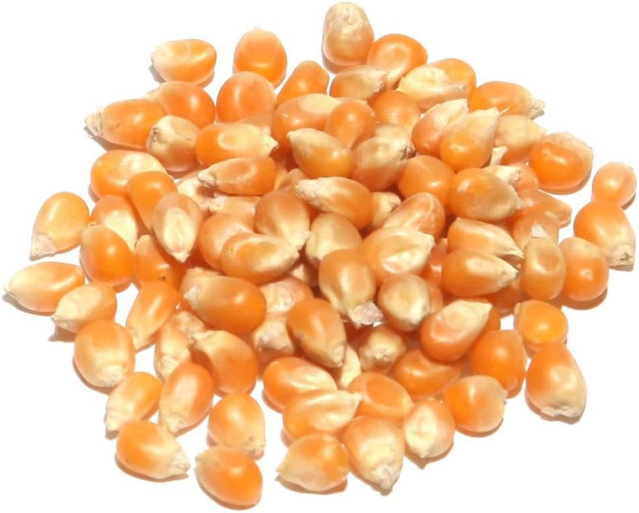 Popcorn Seeds Kernels (7.5kg)