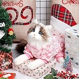 Hundebody für Winter, Plüsch Hundepyjama, Wintermantel Hund, Herz Schlafanzug Hund, Pullover Hunde, Hundebekleidung Zubehör, Kostüm für Klein Mittlere Hunde Katzen Valentinstag Weihnachten (XL)