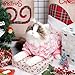 Hundebody für Winter, Plüsch Hundepyjama, Wintermantel Hund, Herz Schlafanzug Hund, Pullover Hunde, Hundebekleidung Zubehör, Kostüm für Klein Mittlere Hunde Katzen Valentinstag Weihnachten (XL)