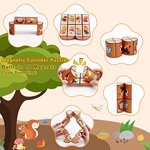 3D Magic Cube Set, Infinity Star Cube Magnet Fidget Toy Transforms Puzzle Cubes For Kids And Adults (3 Packs) #TOP1