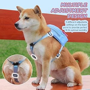   Dog-Backpack-Harness-with-LeashCute-Pet-Puppy-Backpacks-Bulid-in-Dog-Poop-Bag-DispenserAdjustable-Pets-Self-Carrier-Bag-for-Small-Medium-Dogs-Travel-Hiking-Daily-Walking-M-Blue