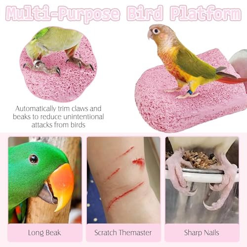 Image of PINVNBY 5 Pack Bird Perch Resin Bird Beak Grinding Stone Parrot Cage Stand Platform Foot Claws Trimmer Chew Toy Cage Accessories for Budgie Cockatiel Conure Lovebird Finch (Pink)