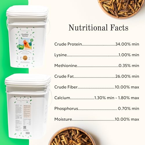 Image of Grubbly Farms Love Tub - Black Soldier Fly Larvae for Chickens - Chicken Treats with 50x More Calcium for Strong Eggshells and Healthy Feathers - Grown in the US and Canada - 5lb Reusable Tub