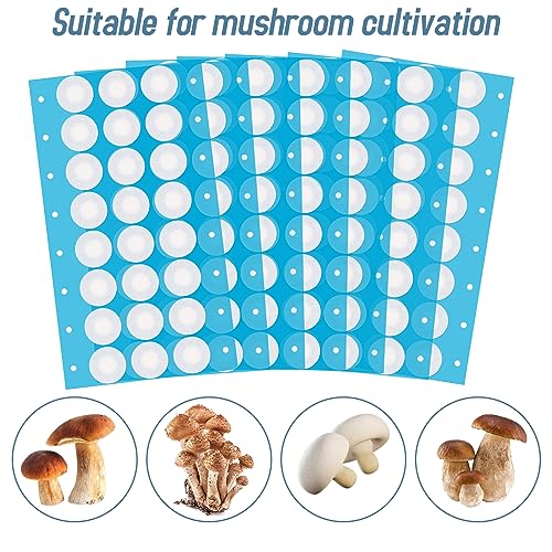 Image of Synthetic Filter Paper Stickers 168 Pcs 20 mm 0.25 m Filter Disc Mushroom Applied Under Wide Mouth Jar Lid for Mushroom