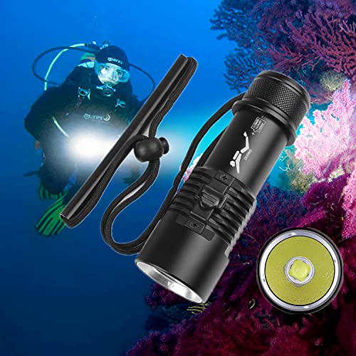List of Ten Best Underwater Flashlight Night Diving [Experts