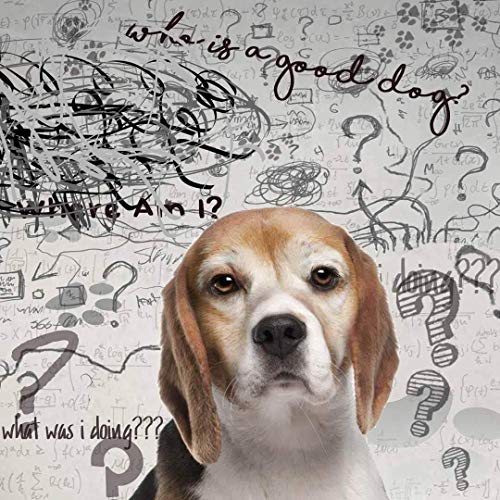 Image of The Blissful Dog Beagle Age Well Dog Aromatherapy Roll-On Bottle for Your Dog's Peaceful Ageing