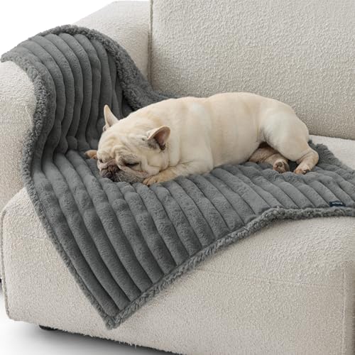 BEDSURE wasserdichte Hundedecke - 76 * 102 cm Hundedecke waschbar für mittelgroße Hunde, Haustier Decke flauschig und weich, Schutzdecke Hundesofa, Decke für Hunde, Grau