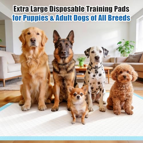 Image of 100 Count Puppy Pads- 30 inchx36 inch, Extra Large Pee Pads for Dogs | Leak-Proof & Super Absorbent Dog Training Pads, XXL Disposable Pet Piddle Pad and Potty Pads for Dogs, Puppies, Doggie