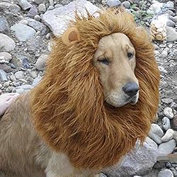 犬用 ライオン ウィッグ 耳付き 被り物 犬 コスチューム ハロウィン ペット用 変身グッズ ドッグ 愛犬 たてがみ ウィッグ 可愛い 犬服 冬 防寒 コスプレ 小道具 イヌ ワンちゃん ペット服 中型犬 大型犬 クリスマス仮装 おしゃれ 面白い 着脱簡単