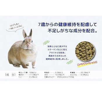 Amazon | 【3個セット】イースター バニーセレクション スーパー