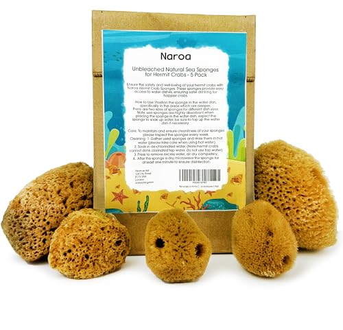 Naroa Natural Hermit Crab Sponges - Pack of 5 | Unbleached Sea Sponge for Water Drinking Safety | Aquarium Decor Balance Tank Humidity | Crab Supplies Accessories
