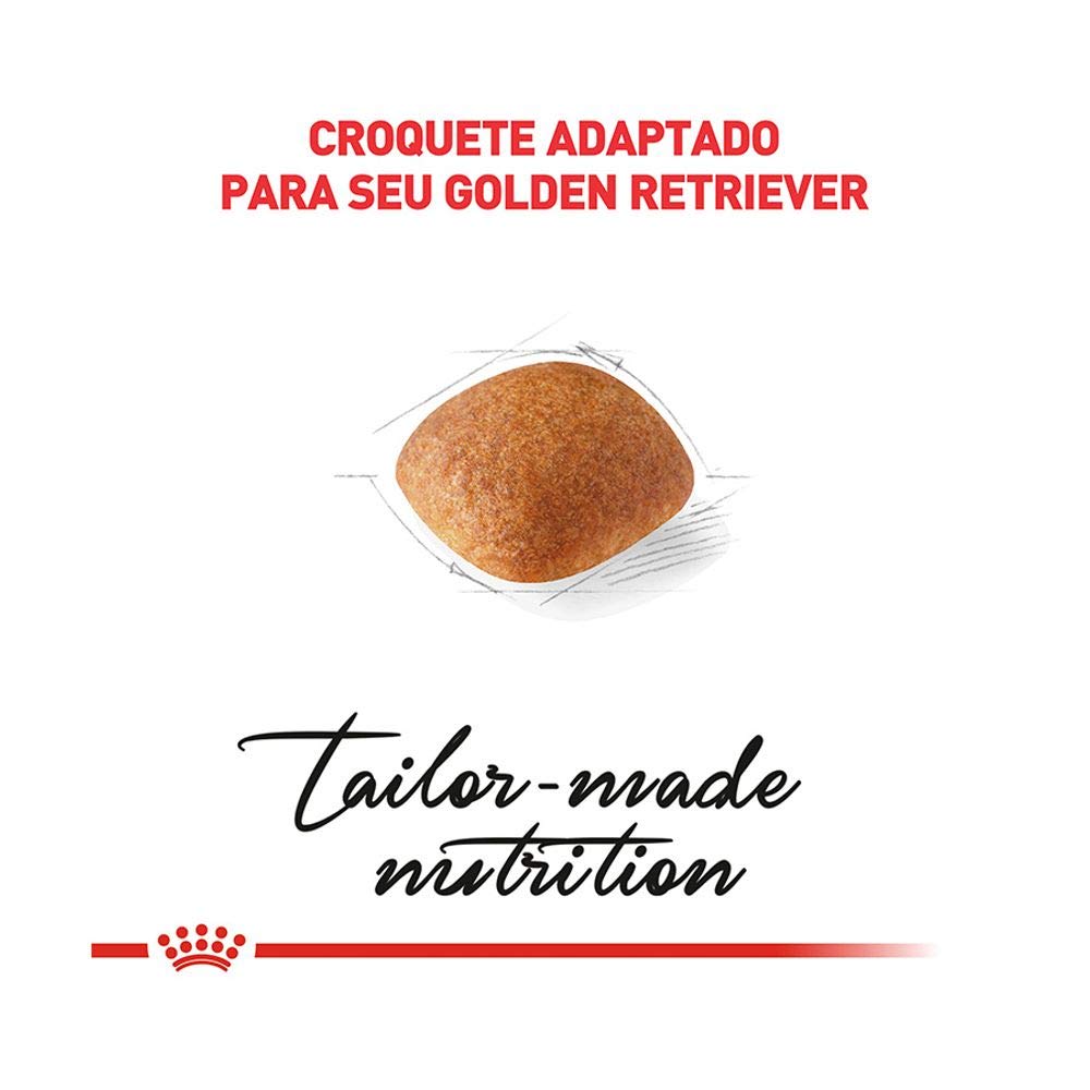 ドッグフード  CANIN Golden Retriever 12kg Ração Royal Canin Golden Retriever para Cães Adultos 12kg
