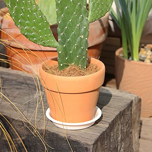 Bangqiao 12 Pack 4.55 Inch Plastic Round Plant Pot Saucer Tray For Indoor And Outdoor Plants, White #TOP6