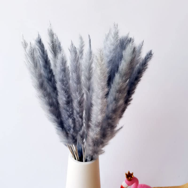Pampa grande gris, ramo de flores secas decorativas miniatura 4