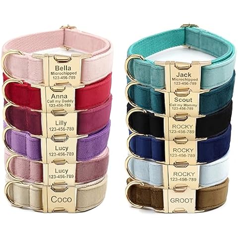 Personalised Velvet Dog Collar with Engraving Cover
