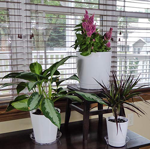 Youniversal Products 15 Pack Of 6, 8,10 Inch Clear Plant Saucer Drip Trays #TOP1