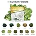 Transformation Super Greens Superfood Green Juice Powder - Immune & Energy Support | Natural Ingredients | Detoxifying & Alkalizing Minerals - Spirulina, Chlorella, Wheatgrass, Spinach, Alfalfa