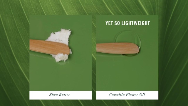 Amazon.com: Herbal Essences Argan Oil Repair Shampoo & Conditioner