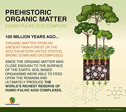 Leafsource Humic And Fulvic Acid 120 Vcap, Trace Minerals, More Natural Humic To Fulvic Acid Ratio Than Shilajit, Supports Energy, Immune, Gut Health, Joint Health, North American Harvested #TOP7