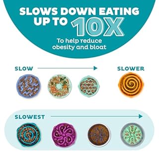 Outward Hound Fun Feeder Slo Bowl – Large 4‑Cup Capacity, Slow Feeding, Medium to Large Dogs, Non‑Slip, Turquoise, Drop Pattern