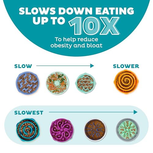 Outward Hound Large Slow Feeder Bowl, Puzzle Maze for Fast Eaters, Medium to Large Dogs, Helps Prevent Bloat & Aid Digestion, Holds 4 Cups Wet or Dry Food, Non-Slip, Made Without BPA, Turquoise - Image 5