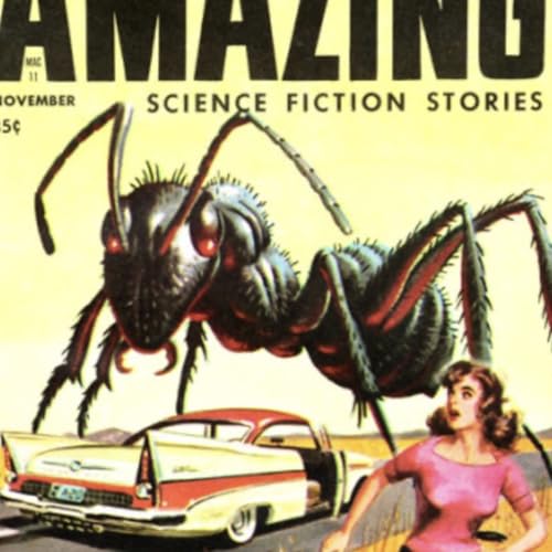 S8 Ep161: Federal Judge Dismisses FTC Antitrust Complaint Against Meta — Jessica Melugin — Judge Boasberg dismissed the FTC's monopoly complaint on the foundational grounds that the agency failed to properly define the relevant market, artificially inflating Meta's