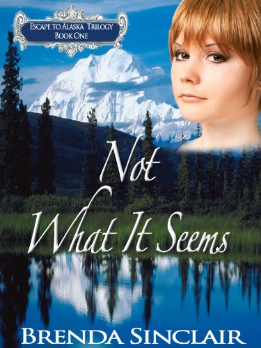 Not What It Seems (Escape to Alaska Trilogy Book 1)