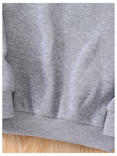 WDIRARA Toddler Girl's Bow Knot Sweatshirt Crew Neck Long Sleeve Pullovers Cute Tops4
