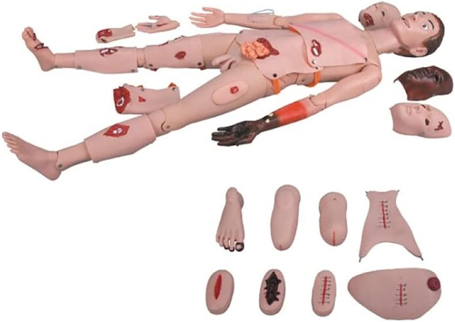 Teaching Tools,Male and Female Nursing Manikin, Patient Care Simulator, Burns Opened Fracture First Aid Trauma Simulated Wound Human Anatomical Model for Nursing Medical