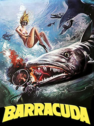  Barracuda