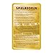 Top Trumps Wetfussballstars 6 Kartenspiel für Kinder - Klassisches WFS Lernkartenspiel für Fans von Fussball- 2+ Spieler ab 6+ Jahre - Deutsch