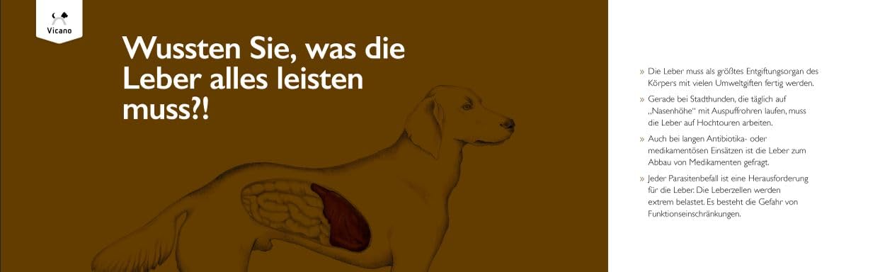 Vicano Iver Up | 120 Tabs | Ergänzungsfuttermittel für Hunde | Mit Mariendistel & Artischocke