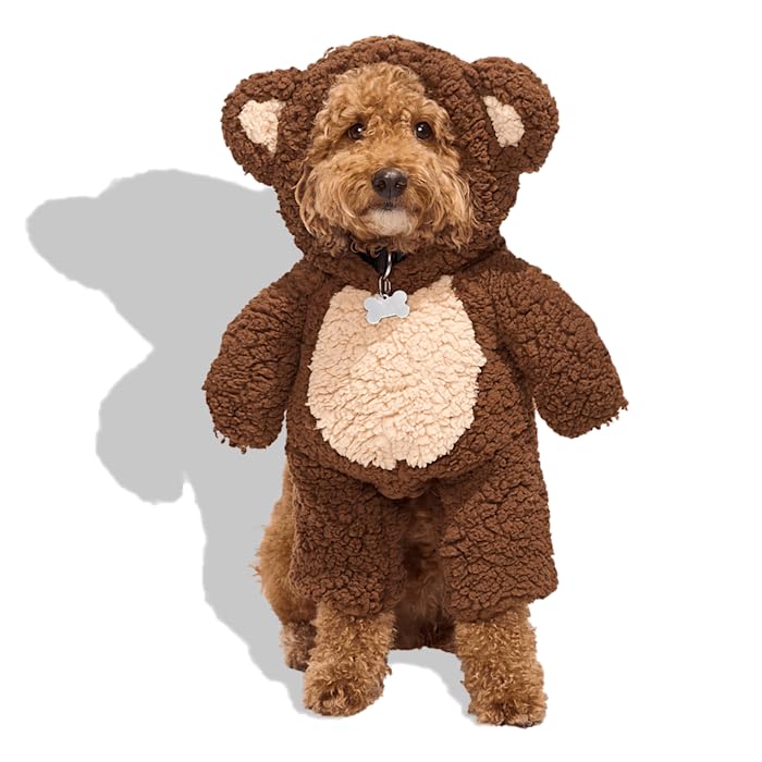 Bootique by Petco Teddy Bear Illusion Pet Halloween Costume XX-Small