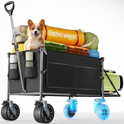 Everyfun Dual Motor Electric Wagon