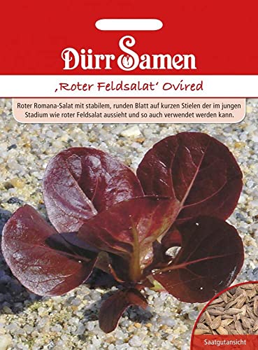 Preisvergleich Produktbild Dürr-Samen - Roter Feldsalat Ovired Saatgut