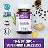 New Chapter Zinc Supplement, Fermented Zinc Complex, ONE Daily for Immune Support + Skin Health + Non-GMO Ingredients, Easy to Swallow & Digest, 60 Count (2 Month Supply)