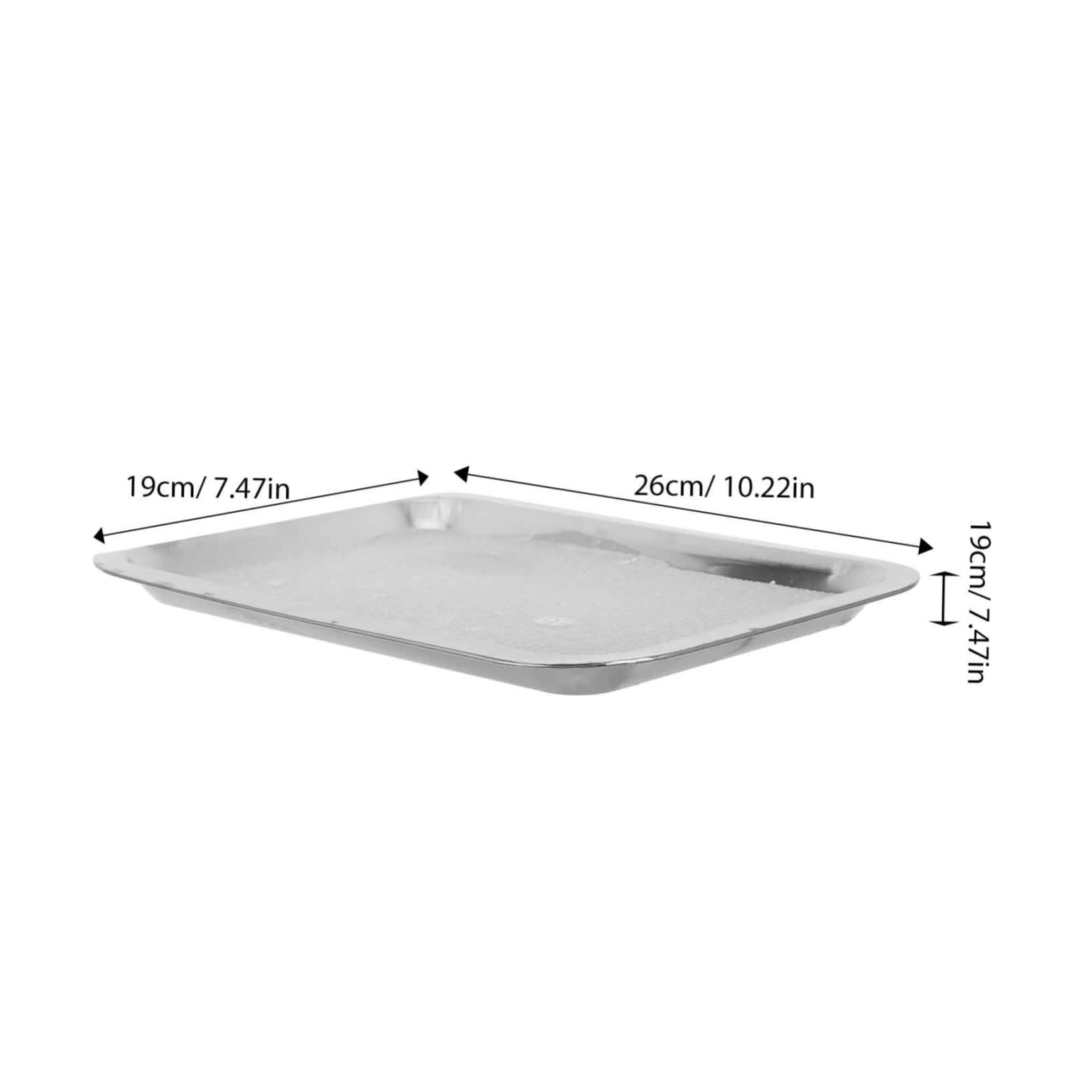 Alipis Biology Lab Dissection Tray Stainless Steel 19x26cm Lab Wax Tray Dissection Plate Reusable for School Science Projects