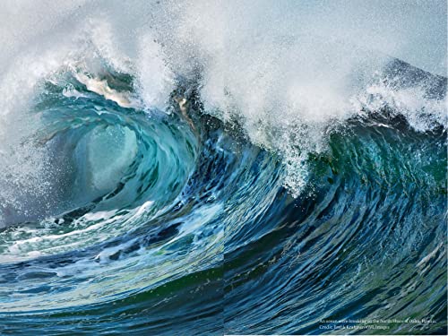 Audubon Engagement Calendar 2023 Wildlife News