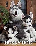 Husky Dog: The Picture Book of Amazing Huskey Dog for Kids, Alzheimer's, Senior with Dementia.
