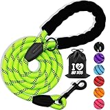 LOSLAI Hundeleine, 2,2 m, Trainingsleine für Hunde, aus Nylon, mit gepolstertem Griff, weich und reflektierend, geeignet für kleine bis große Hunde, grün (1,2 cm x 2,2 m)
