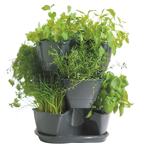 Kräuterampel Coubi anthrazit/beige, Farbe:Anthrazit