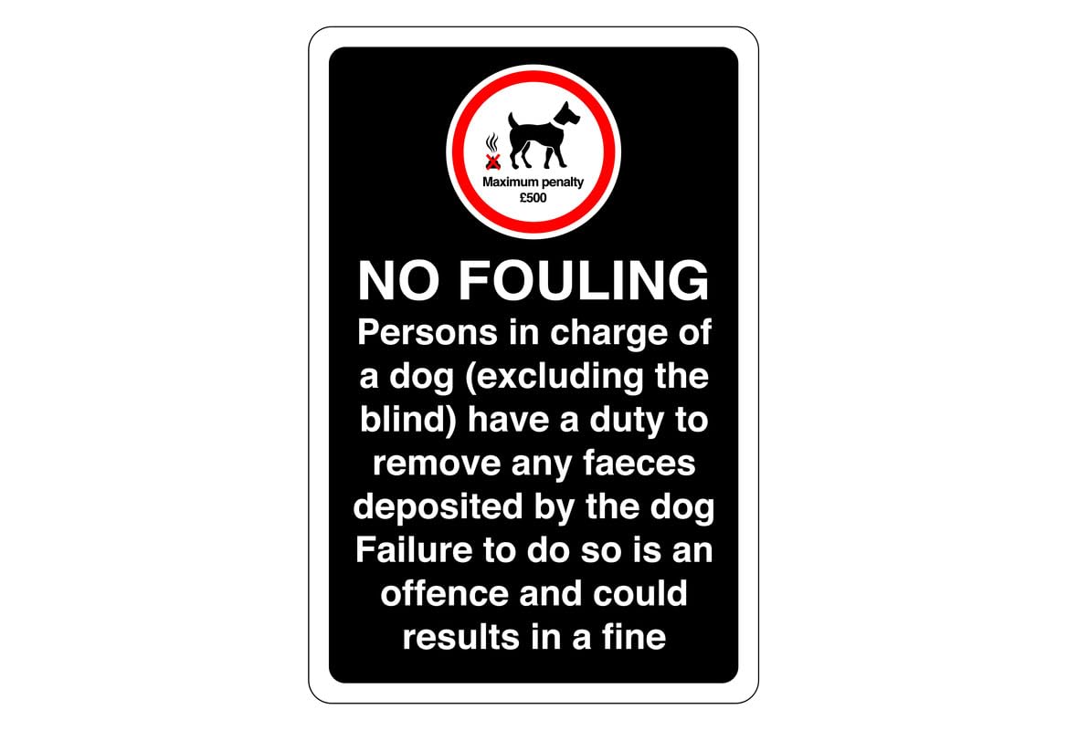 Safety First Display LTD Clean Up Dog Fouling £1000 Penalty Sign - 1.2mm Rigid Plastic For Indoor/outdoor Usage (150mm X 100mm