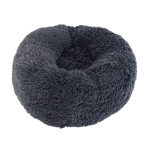 Anti Stress Chien Voiture Pas cher