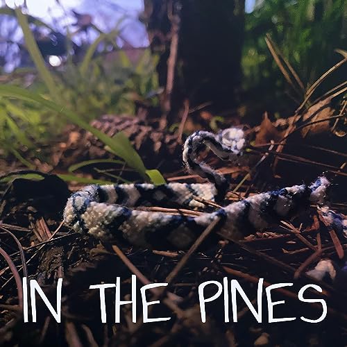In the Pines cover art