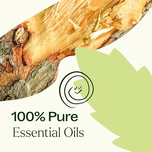 Plant Therapy Muscle Aid Aceite Esencial 30mL miniatura 5
