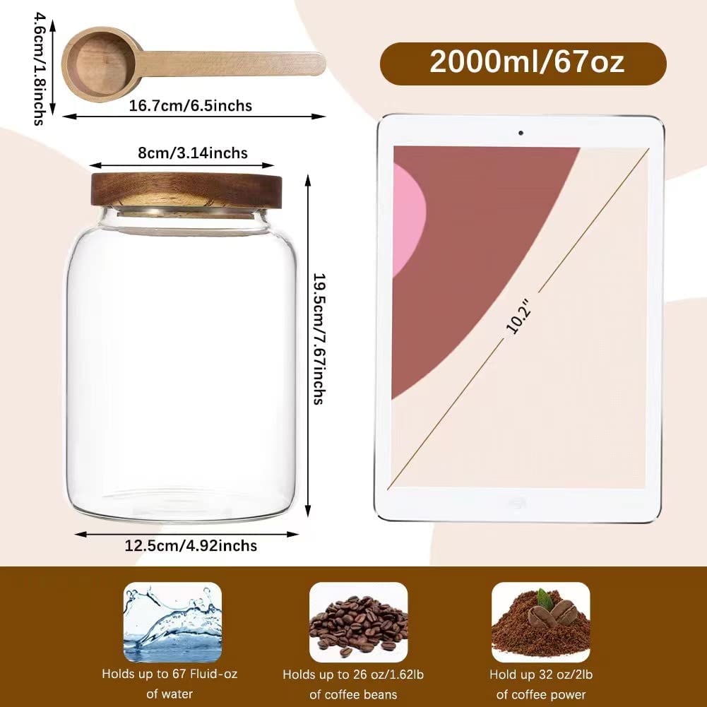 Grande barattolo di vetro per caffè con cucchiaio, contenitore per caffè trasparente, contenitore per alimenti sigillato, caramelle, farina di tè (1950 ml/65 ml)