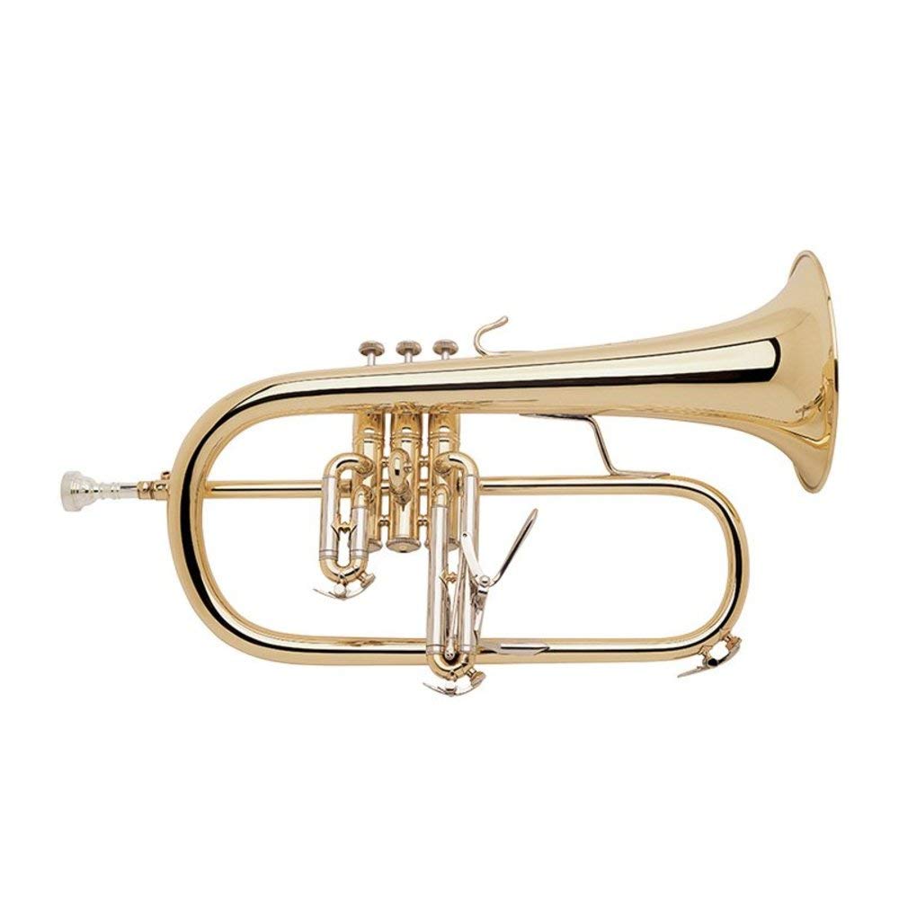 Bach 183 Stradivarius serie BB fliscorno (183 lacado