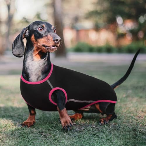Hjyokuso Dackel Pullover - Fleece Hundepullover, Kleidung Für Kleine Hunde, Dachshund Sweater