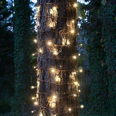 Wintergreen Lighting LED Wrap Lights for Tree Trunks